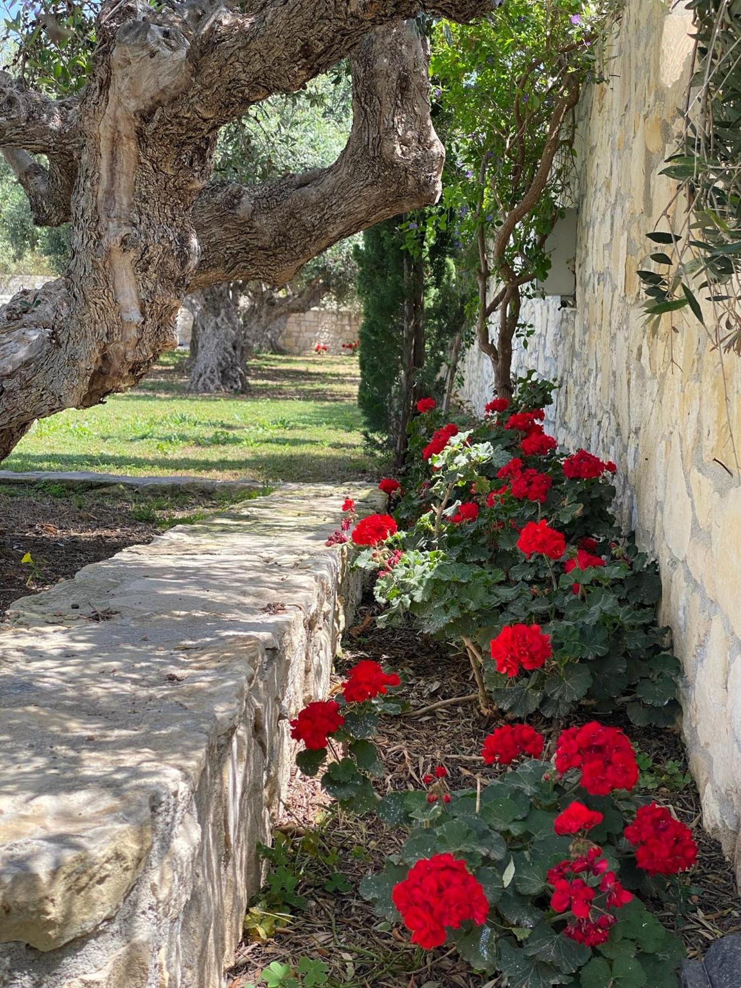 Villa Marmelada Ierápetra Exteriér fotografie
