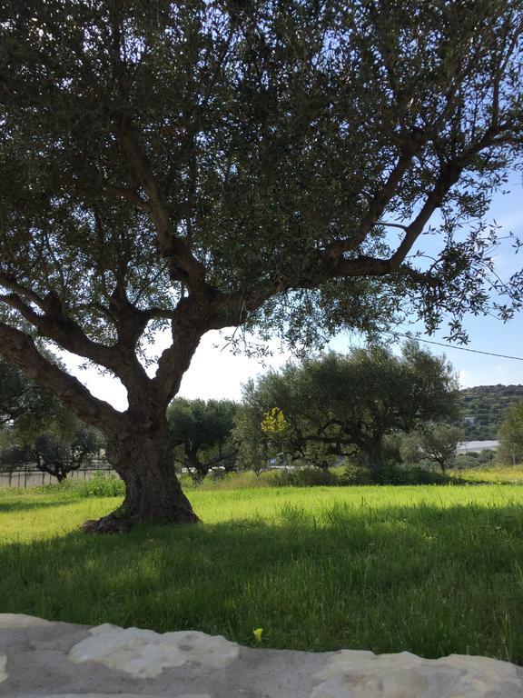 Villa Marmelada Ierápetra Exteriér fotografie